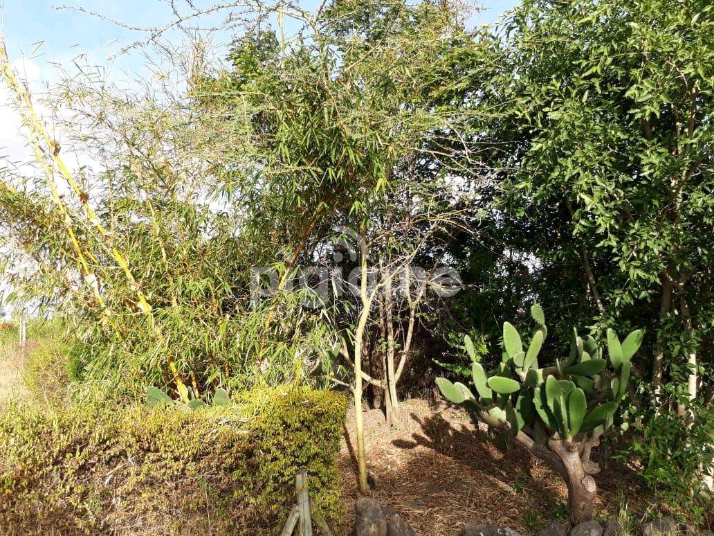 Kamulu Quarter Acre Piece Of Land For Sale. in Nairobi PigiaMe