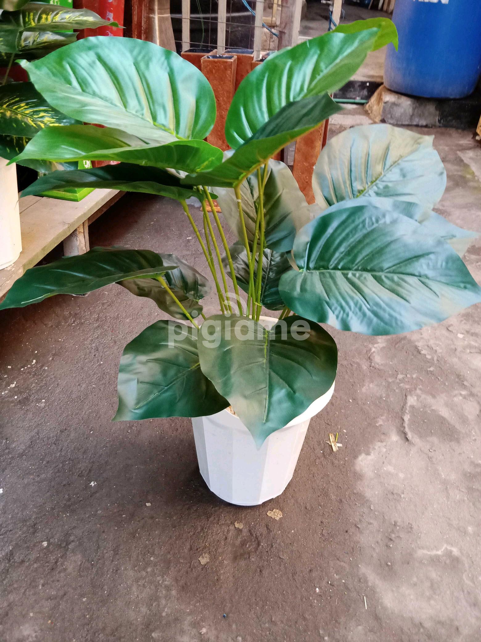 Artificial Plant For Home And Office Decor in Nairobi CBD PigiaMe