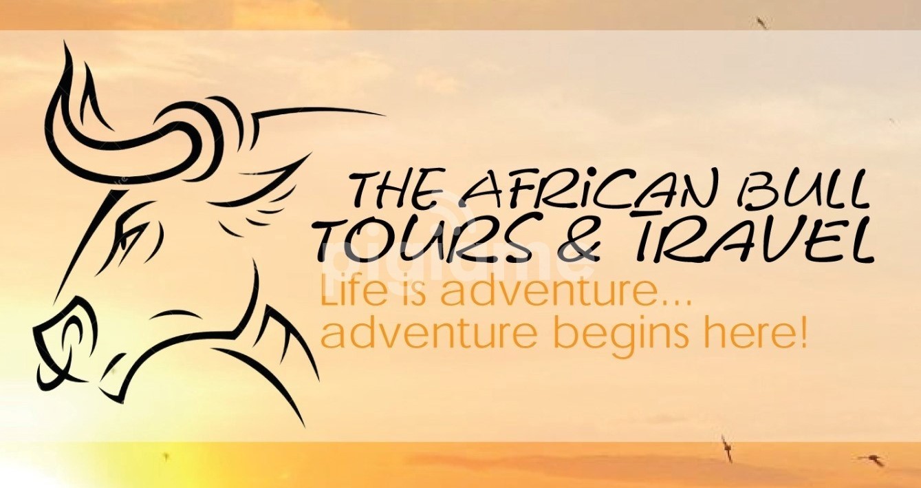 The African Bull Tours & Travel