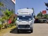 Solomon Trucks