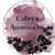 Cahvyaccessories