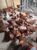 SASSO F1 CHICKEN FOR SALE