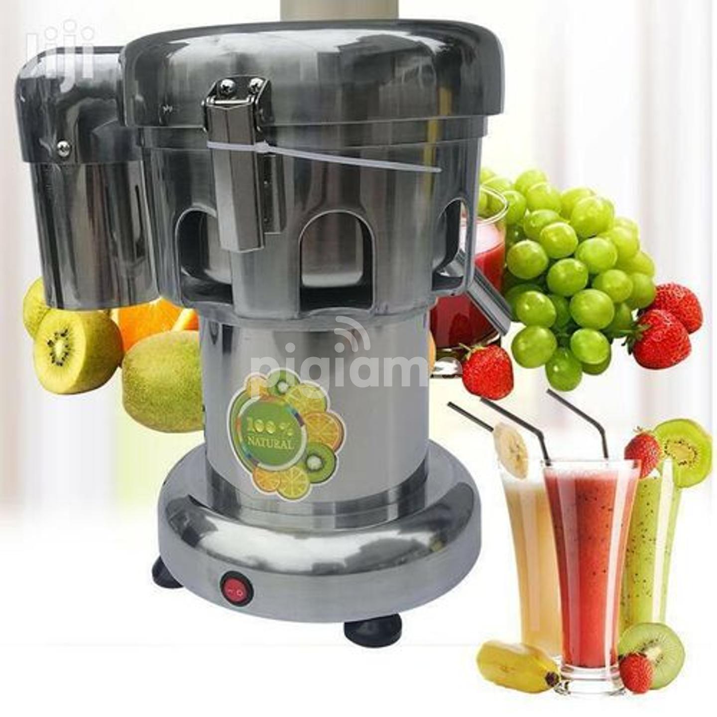 Professional Commercial Juice Extractor Vegetable Juicer in