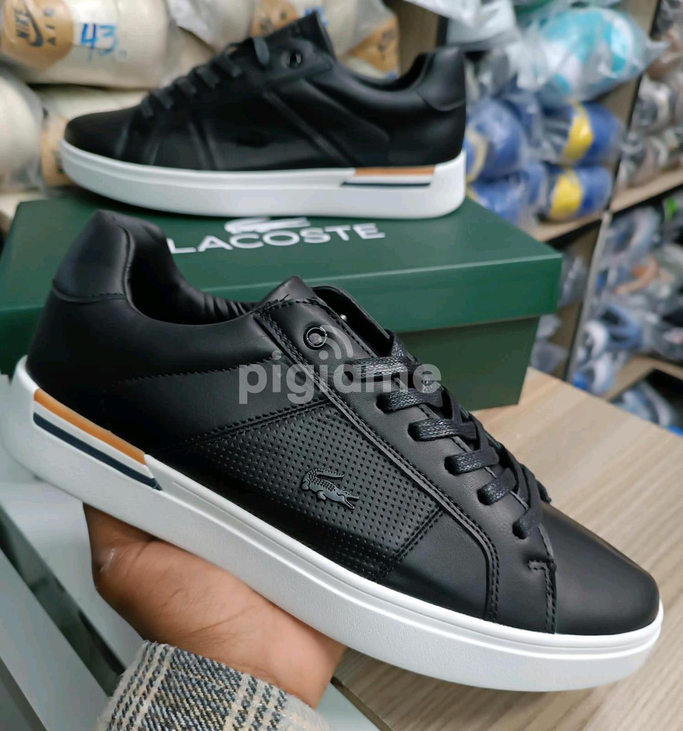 Lacoste size hot sale 40