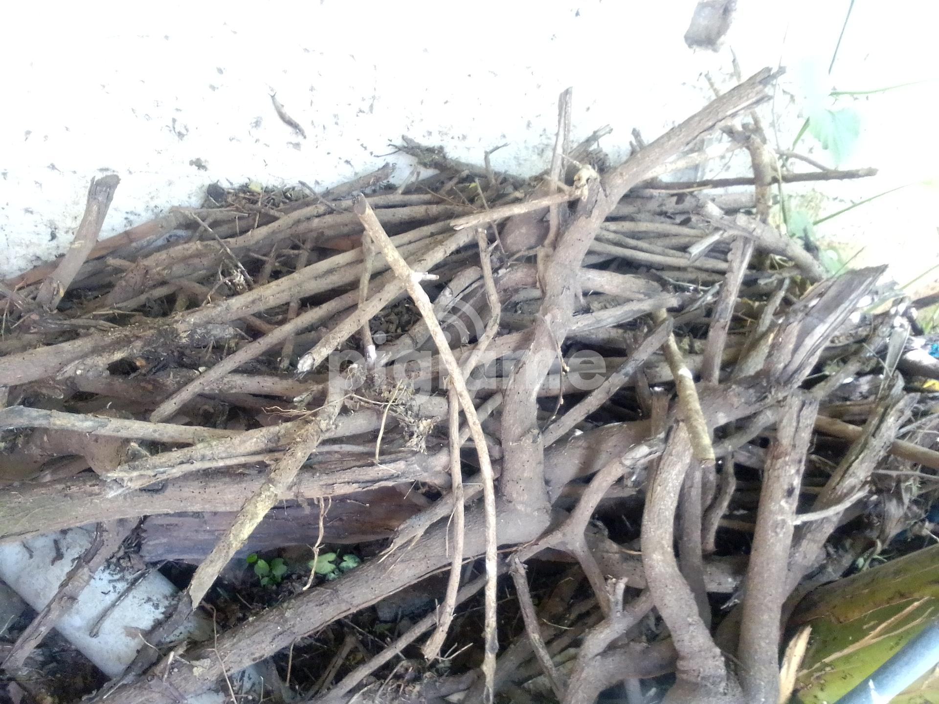 Twigs for sale discount