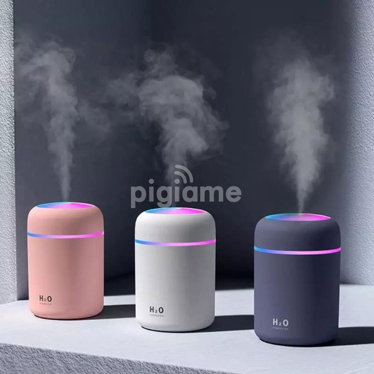 Zenpod 2025