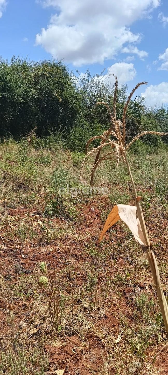Several Parcels In Ekalakala Matuu Masinga Dam Are For Sale in Machakos PigiaMe