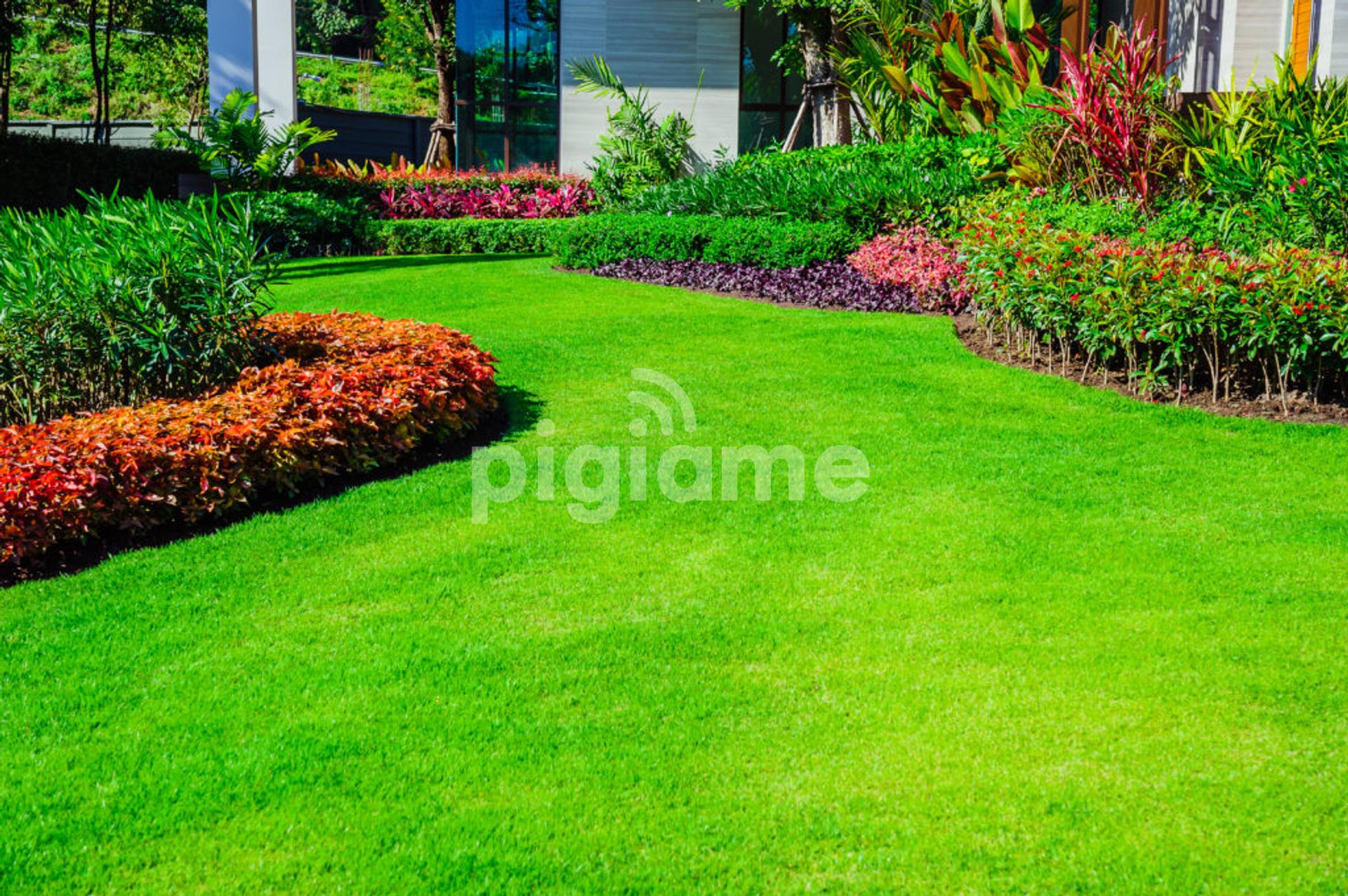 Best Gardening Landscaping In Nairobi Contact Bestcare Gardeners And Gardening Services In Nairobi Pigiame