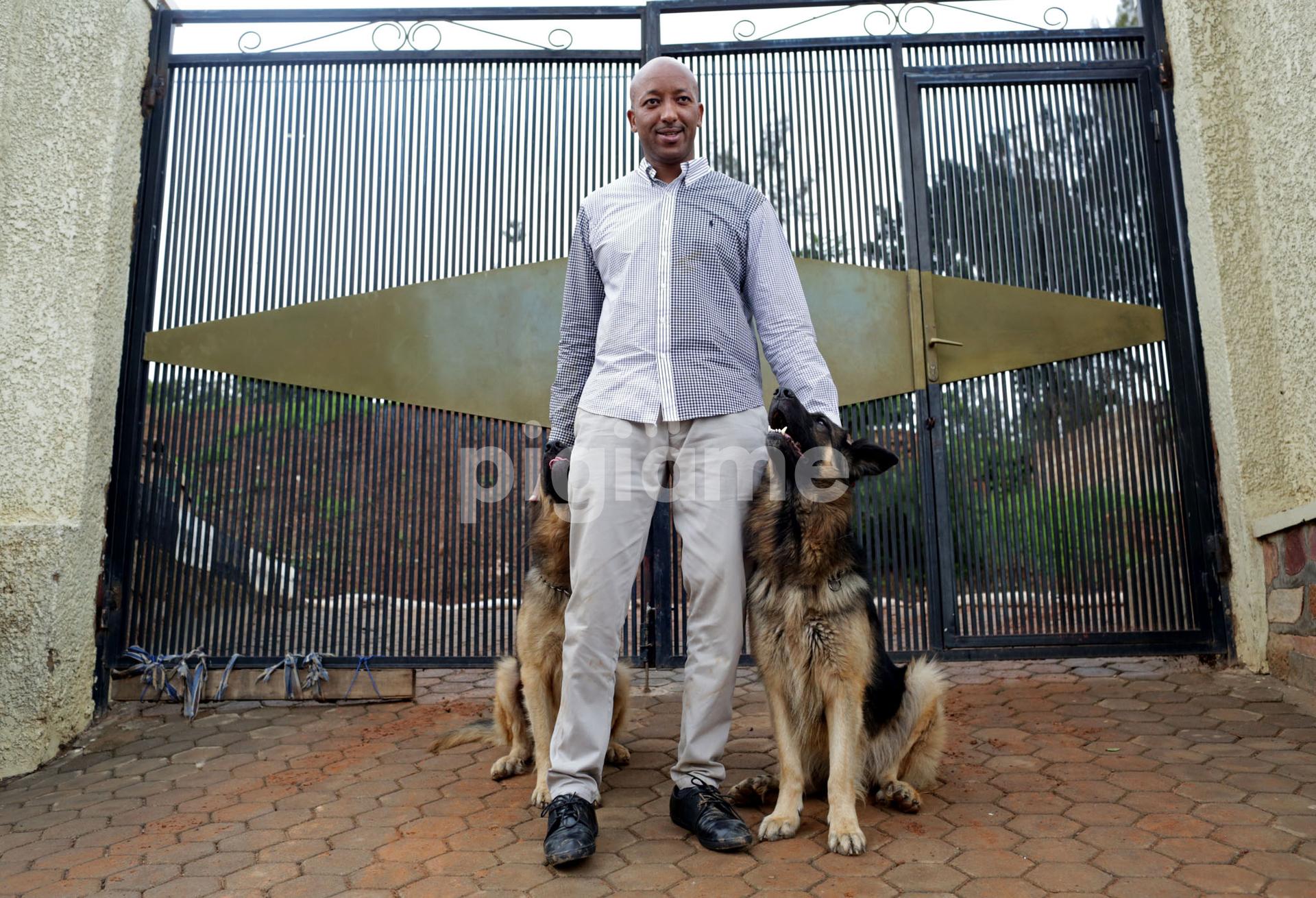 Find a sales dog trainer