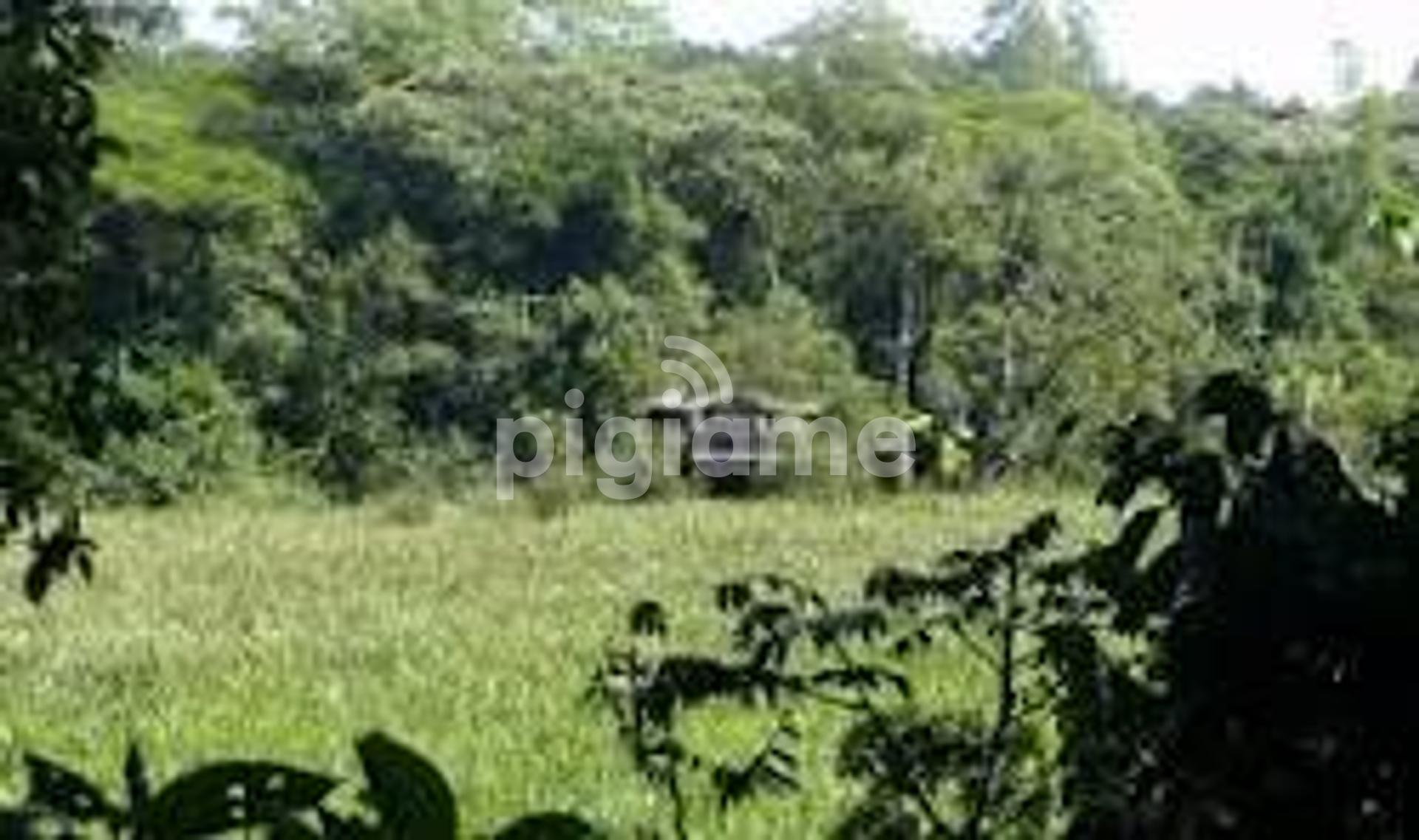 Kitale Trans Nzoia 2O Acres For Sale in Trans Nzoia PigiaMe