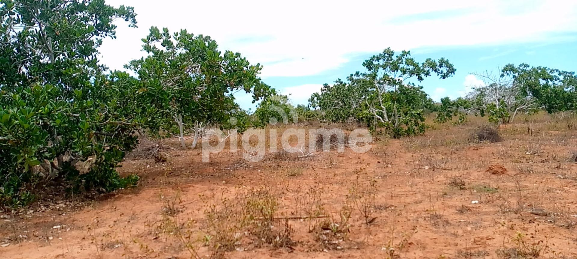Land For Sale With Title Deed in Coast PigiaMe