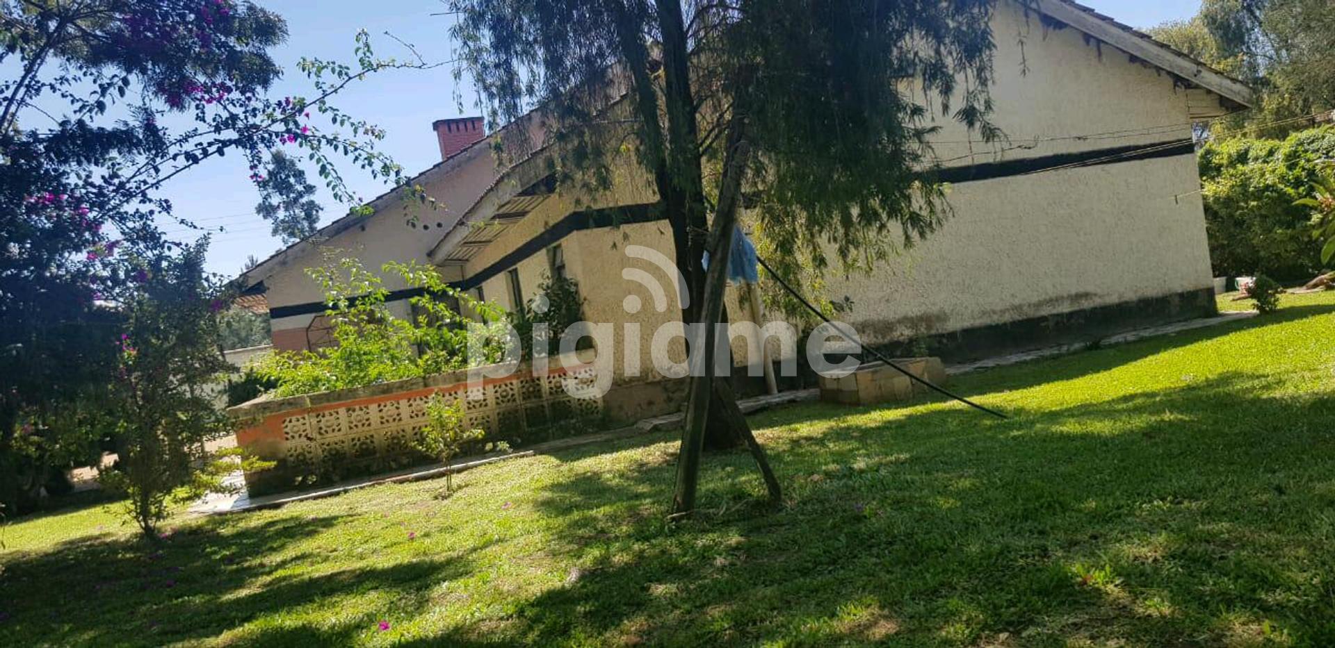 Houses To Let (Elgon View Eldoret) in Eldoret PigiaMe