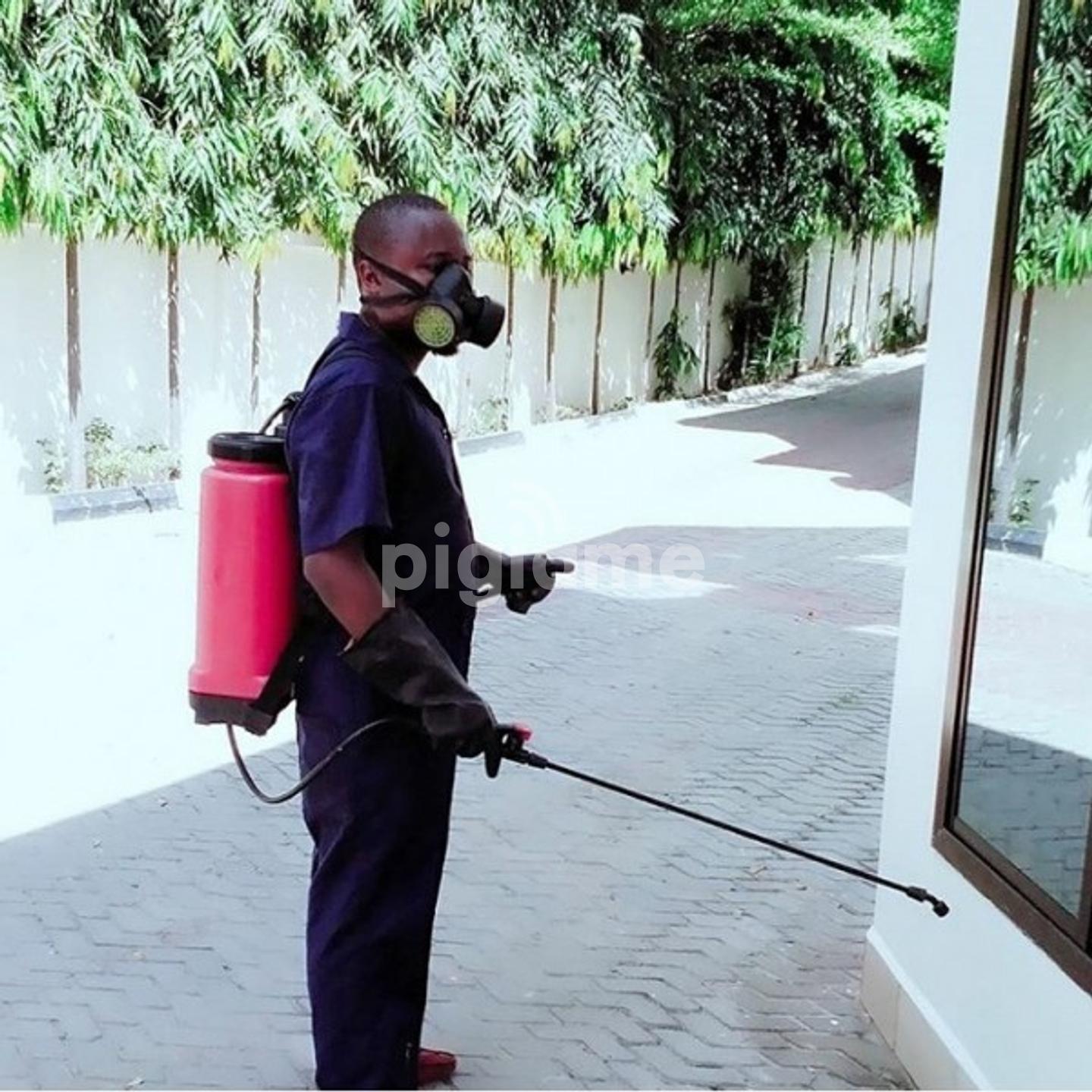bed bug fumigation