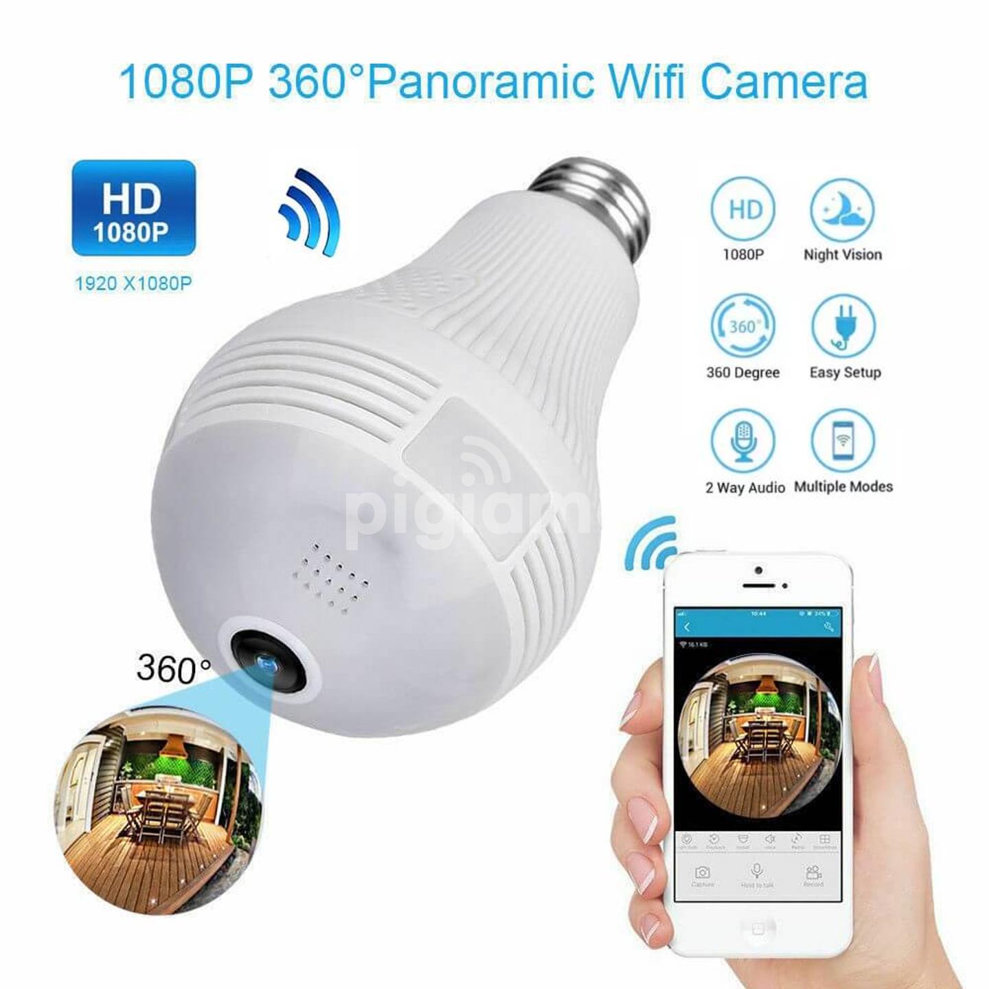 Hidden 2025 bulb camera