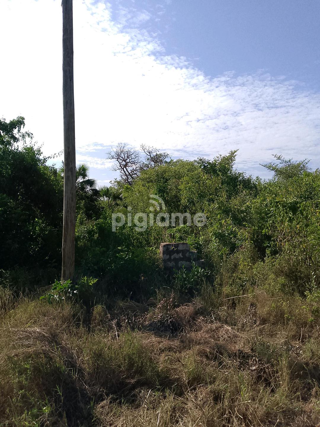 1/4 Acre Land For Sale In Diani in Kwale PigiaMe