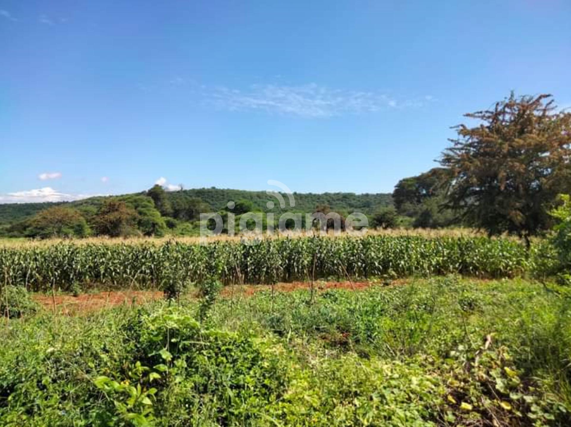 20 Acres Or More Is For Sale In Masinga Dam And Thika River in Machakos PigiaMe