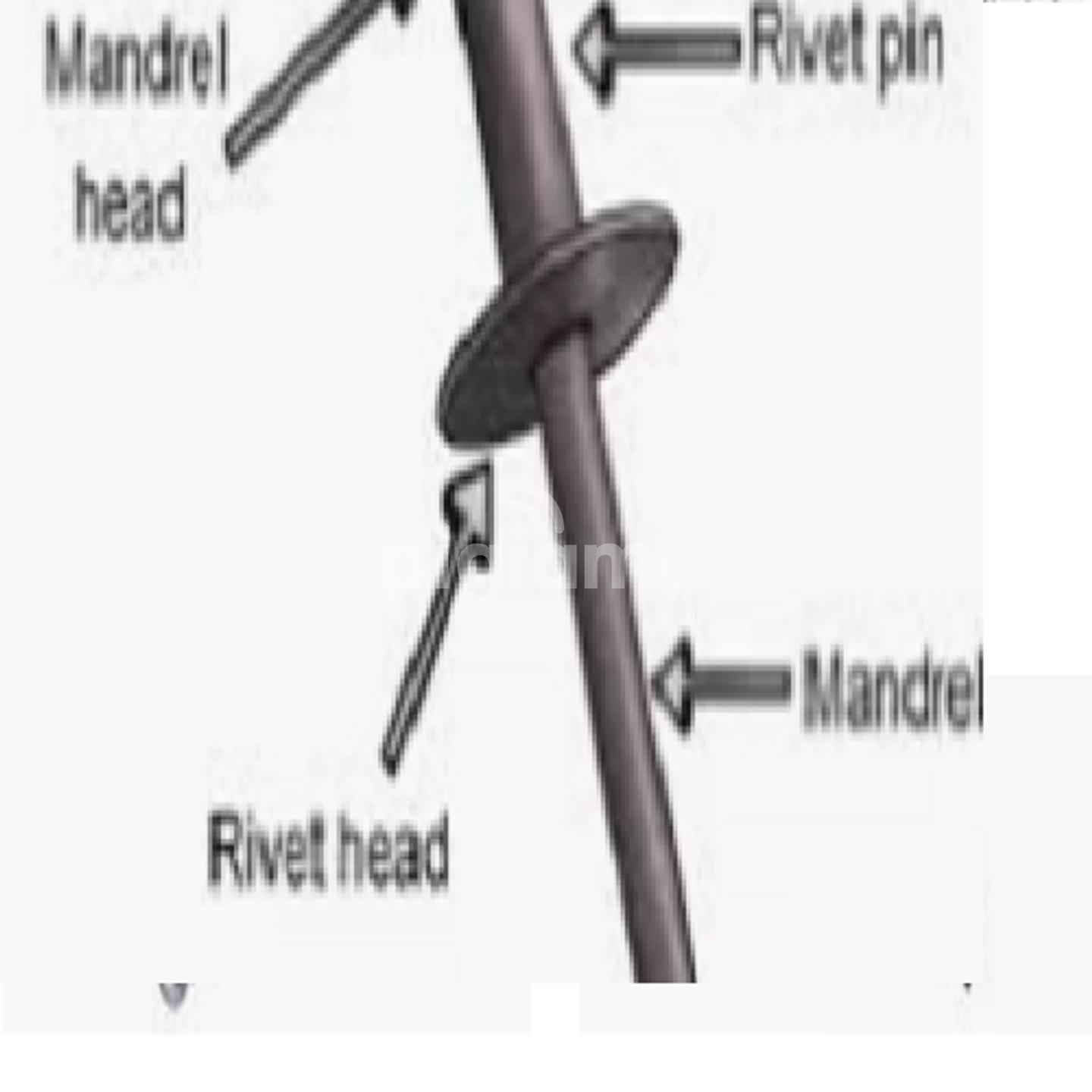 anatomy of a rivethead