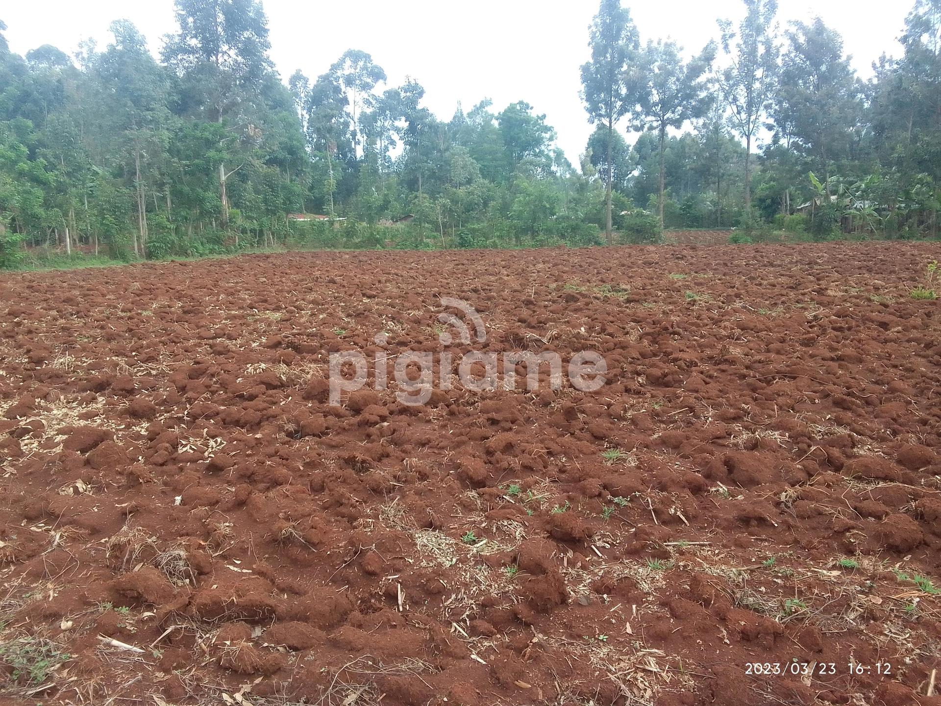 Land On Sale 0.26Ha in Bungoma PigiaMe