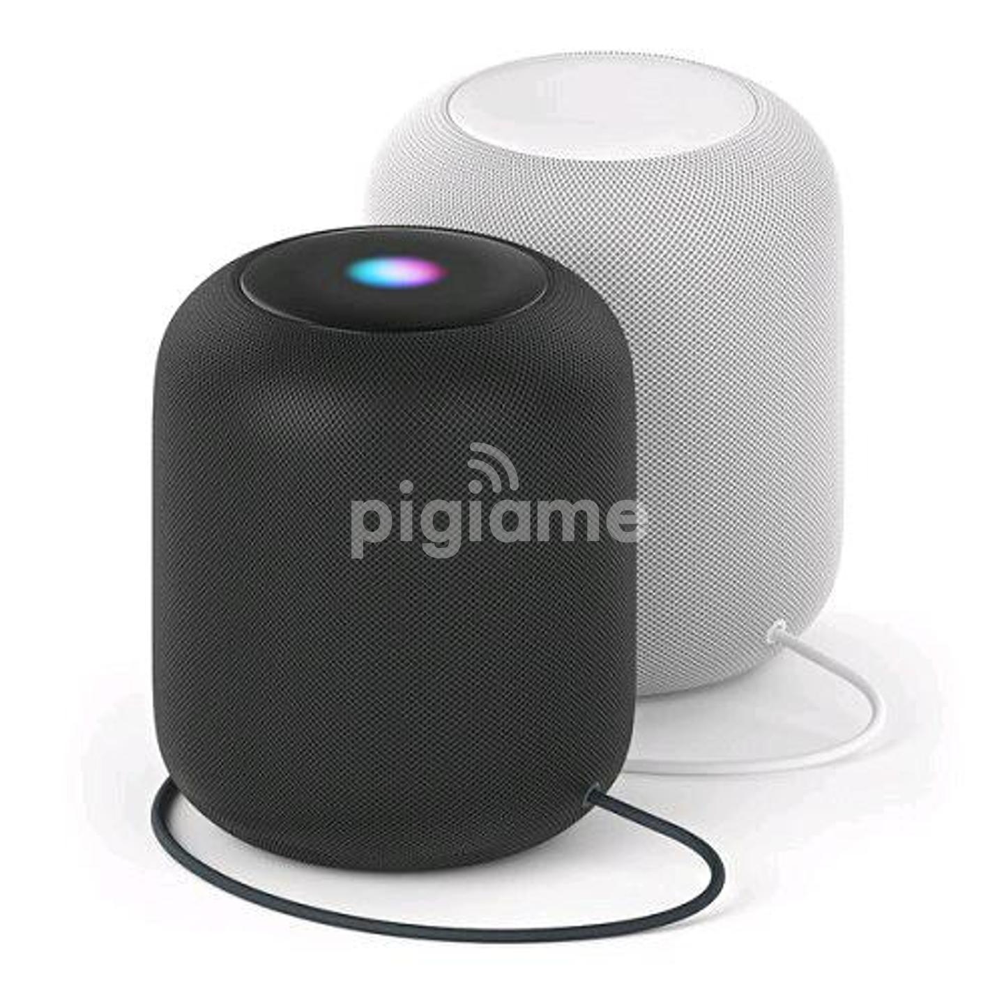 black homepod