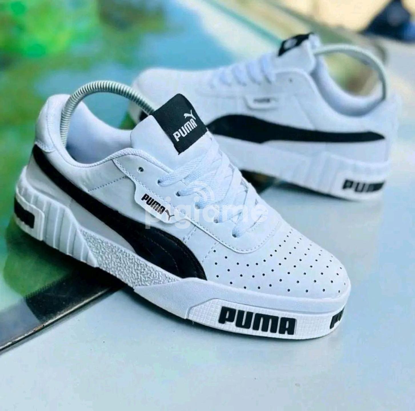 Puma kali 2025