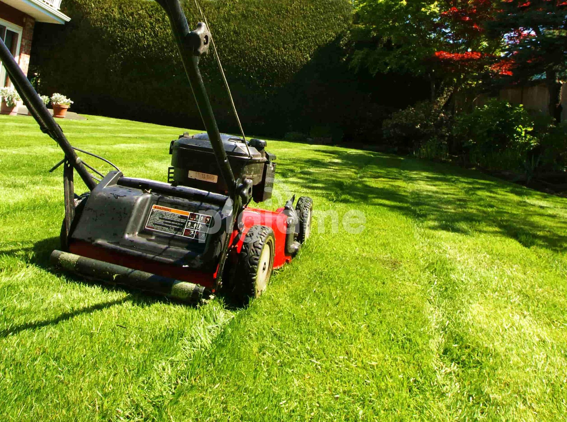 Best lawn mower discount repair