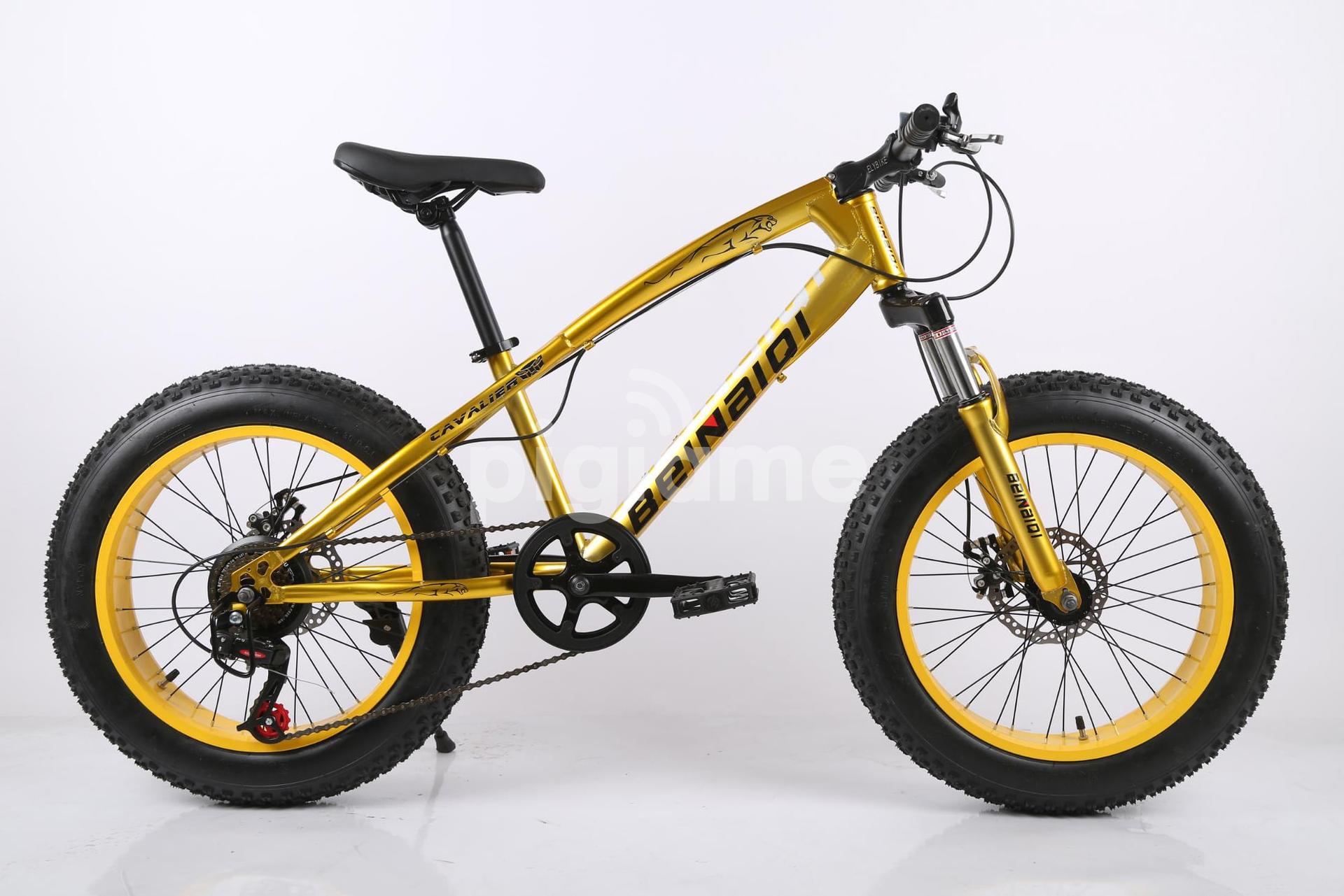 Beinaiqi cycle price 2025
