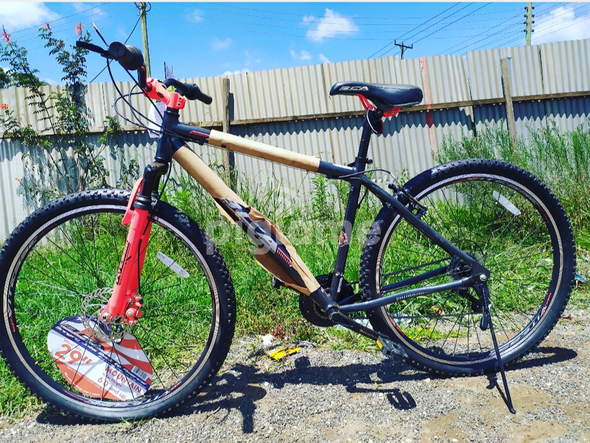 Bca 29 inch mountain hot sale bike