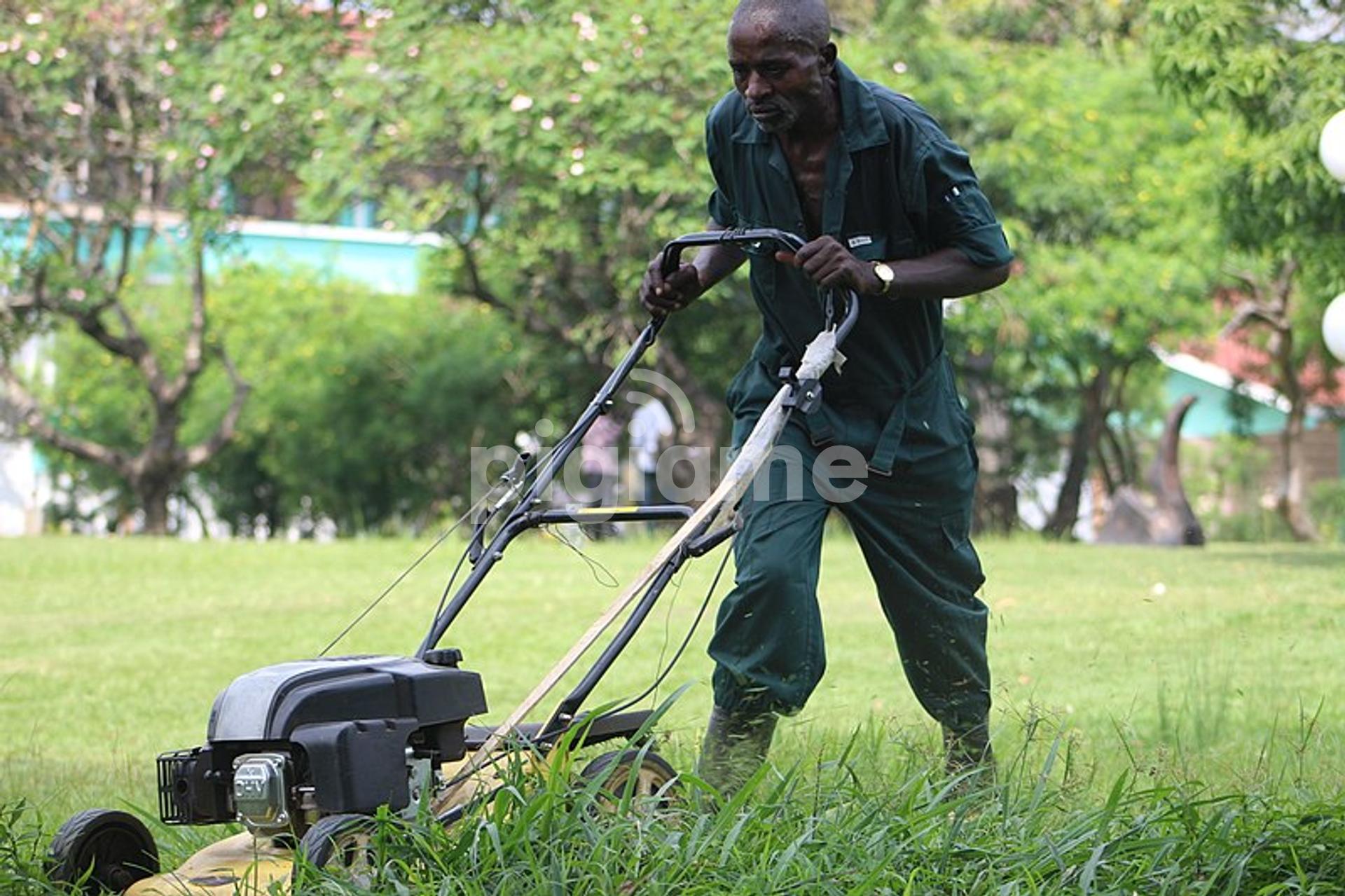Nearest lawn mower service outlet