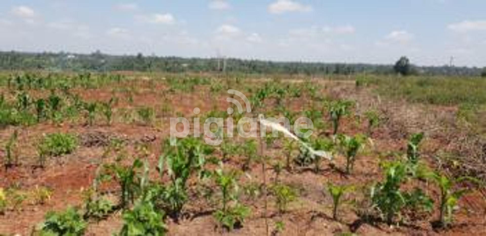 1/8 Acre Fully Serviced Plots Thika Greens Golf Resort in Thika PigiaMe