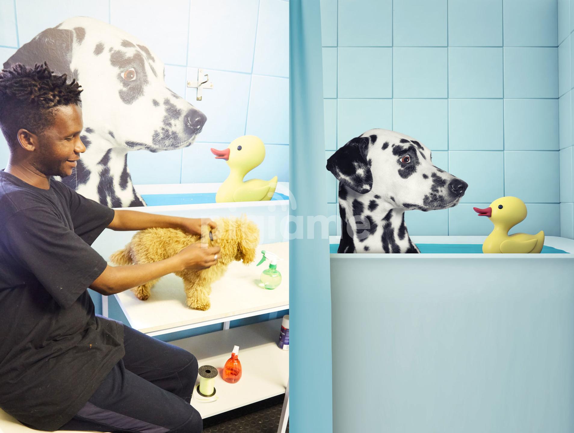 Dog exclusive fashion wholesalers Grooming Professional