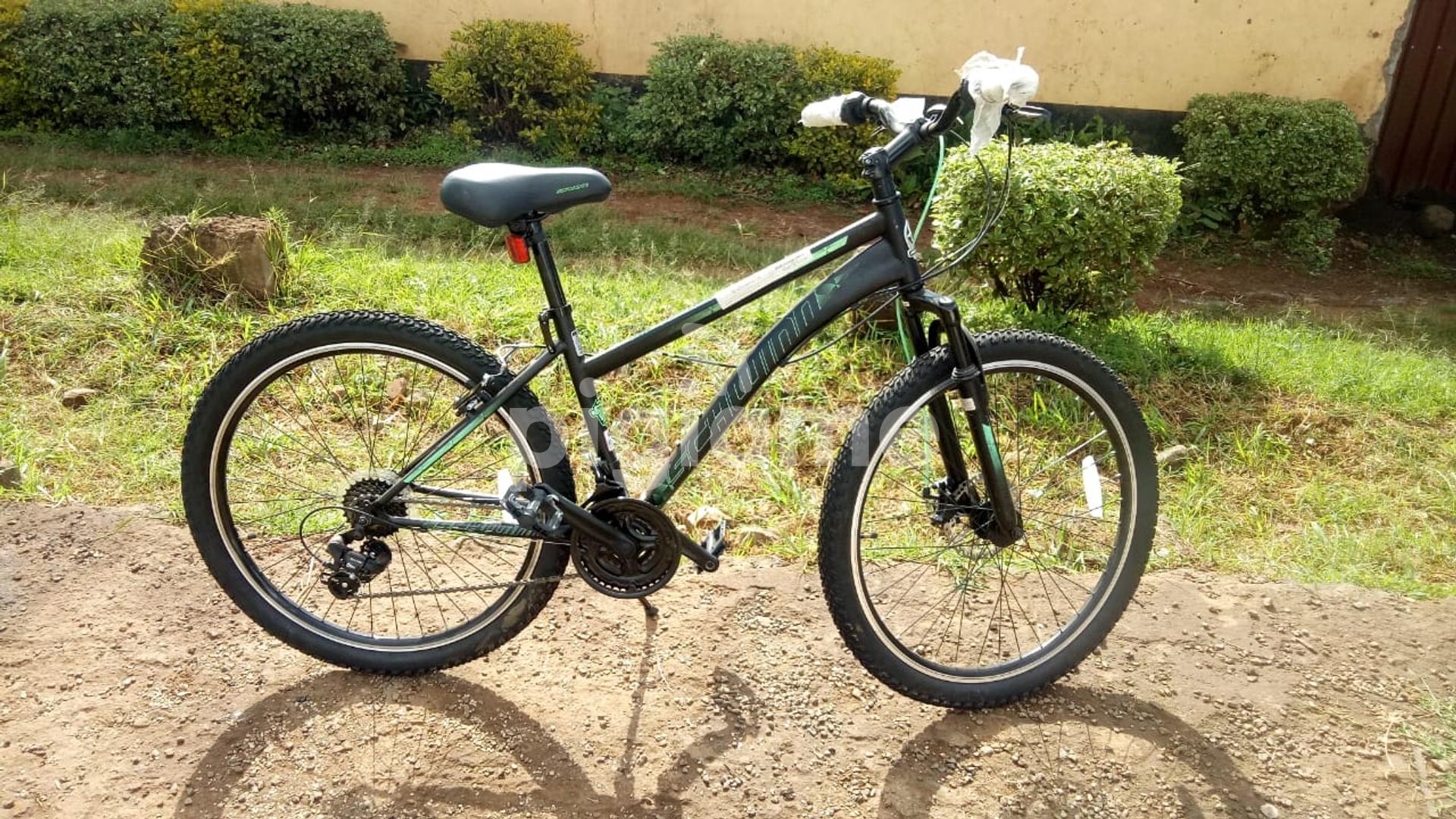 schwinn aluminum bike