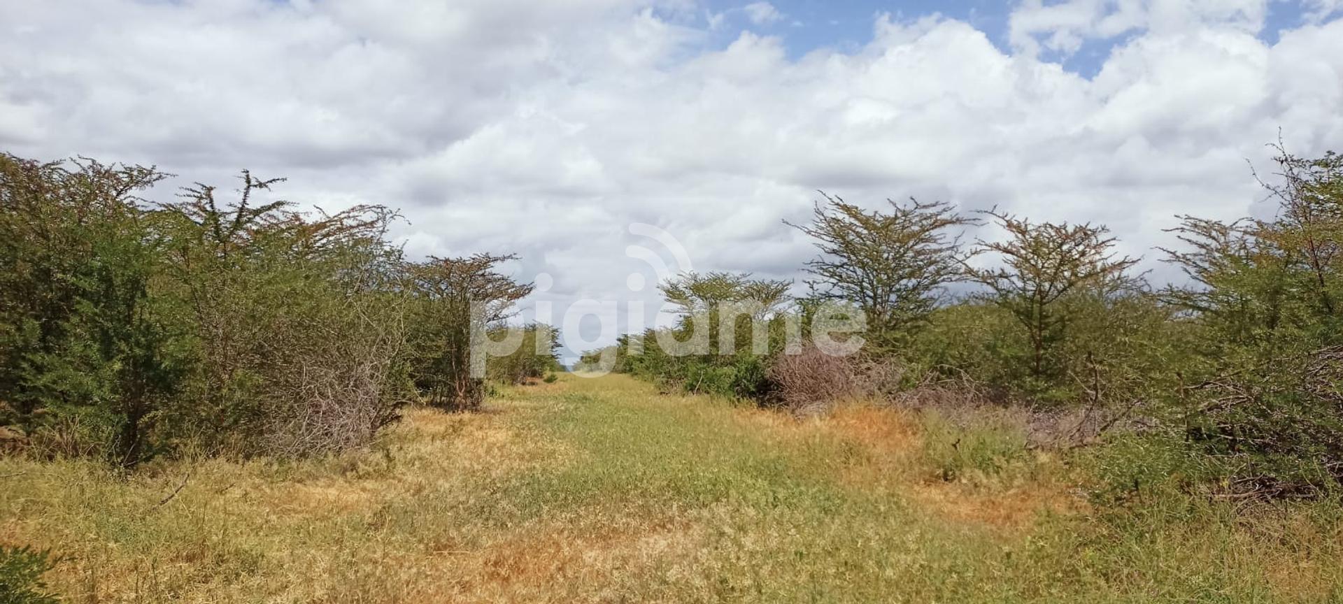2,500Acre Land For Sale In Malindi in Coast PigiaMe