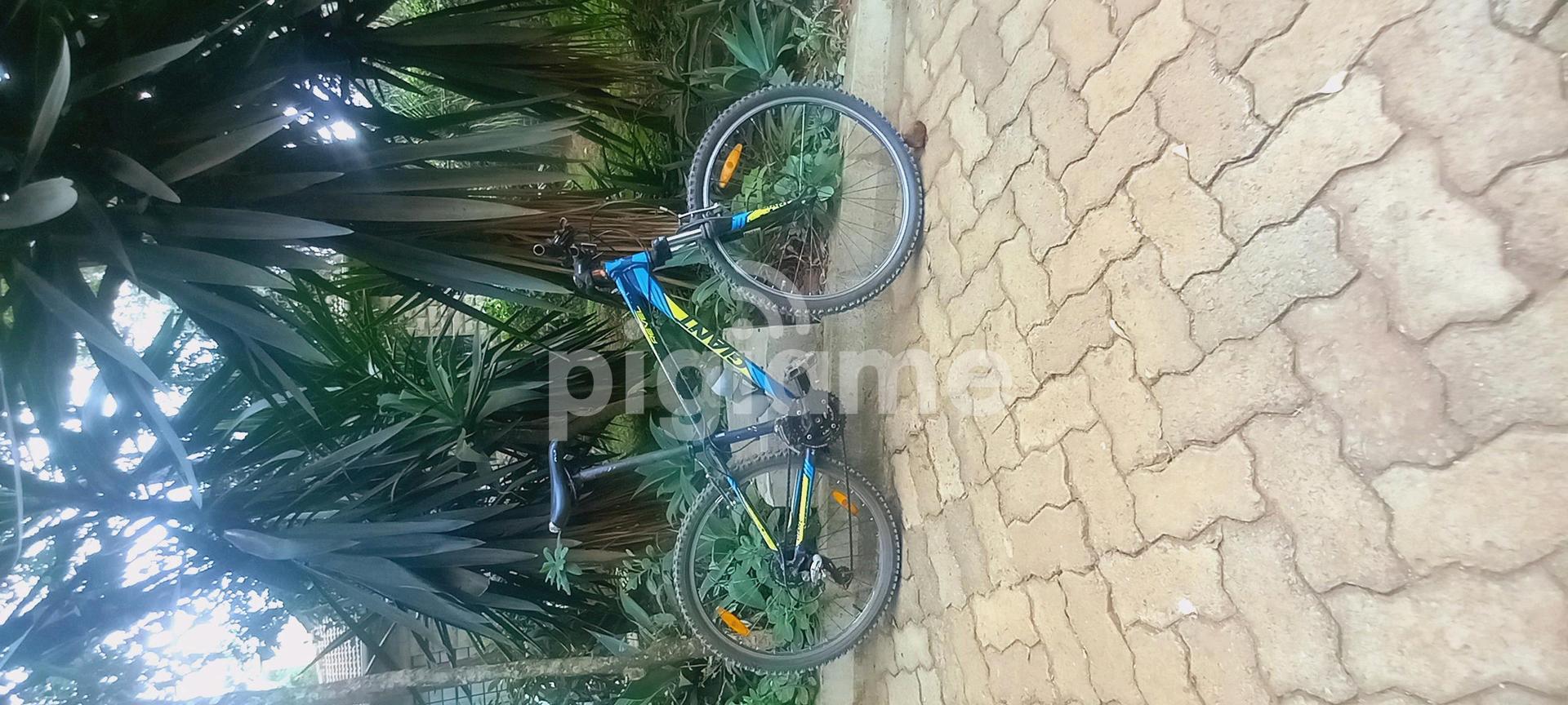 Giant roam sale olx