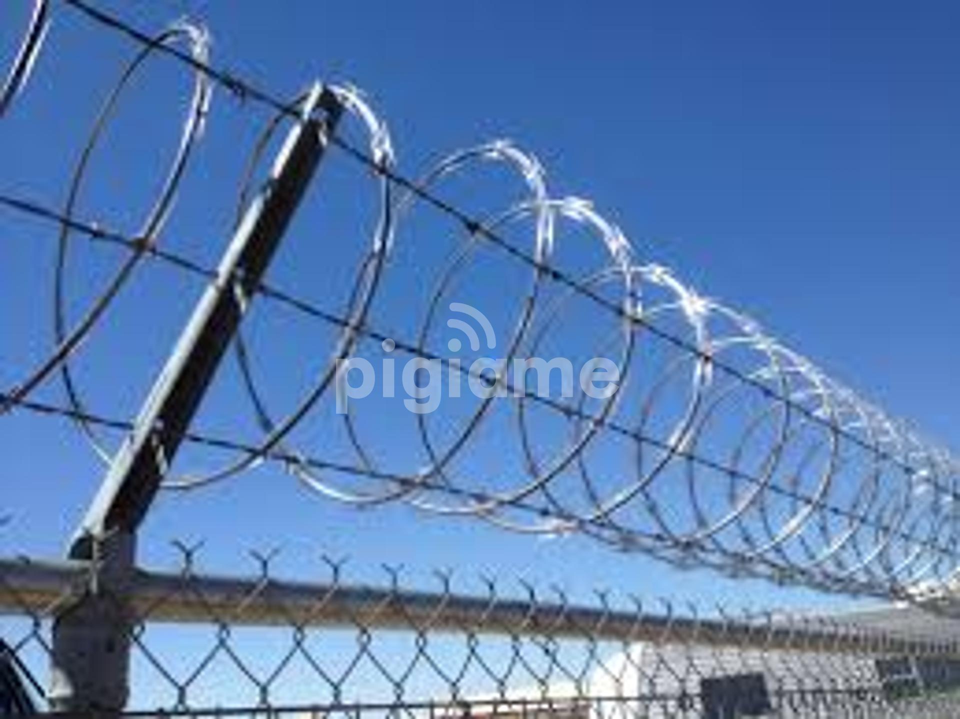 730Mm Double Galvanized Razor Wire Supplier In Kenya,Razor Wire Supply