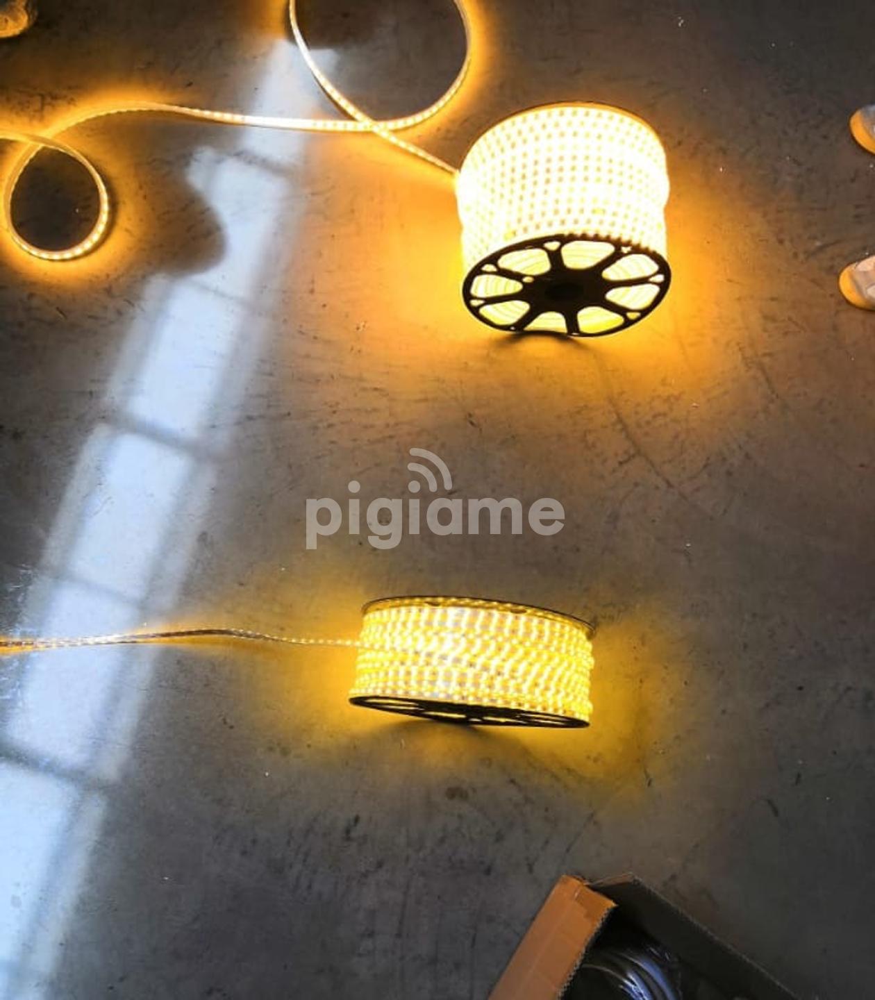 Gypsum Snake Lights in Nairobi PigiaMe