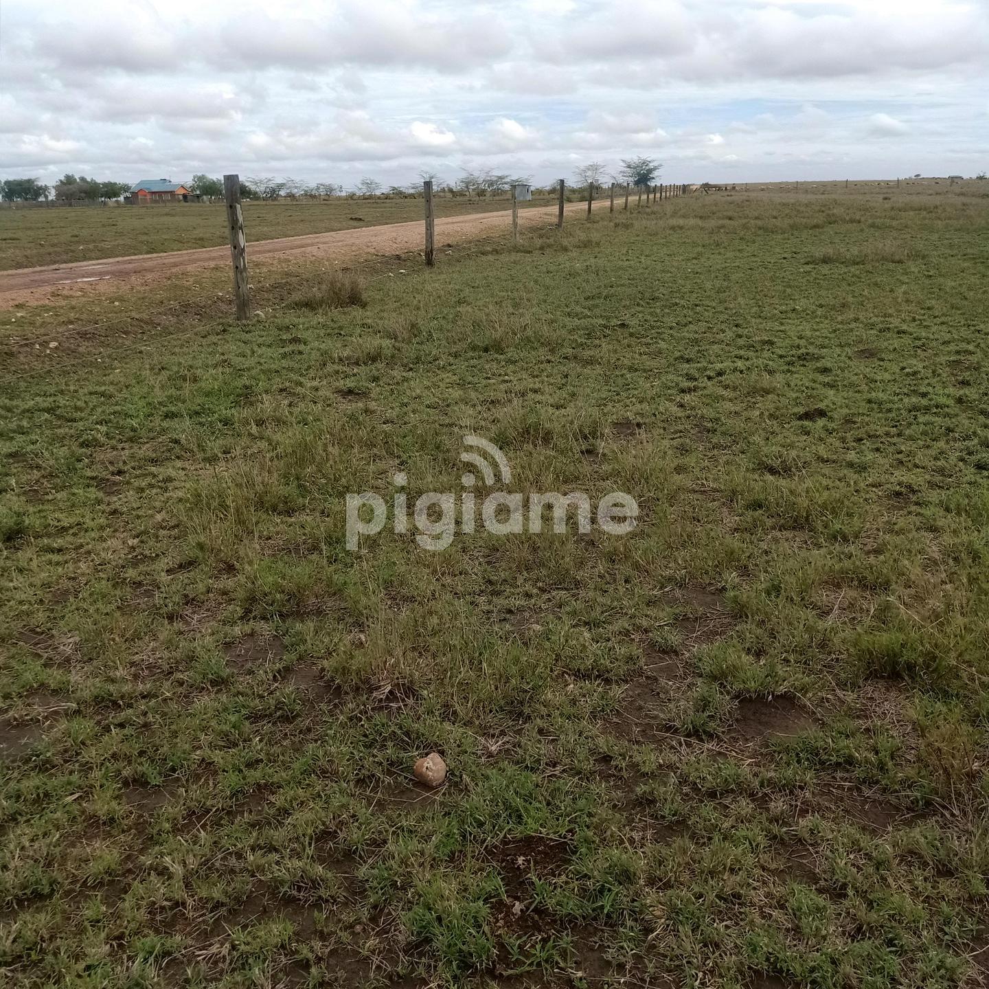 Kitengela Plots Phase 4 Love Garden. in Nairobi PigiaMe