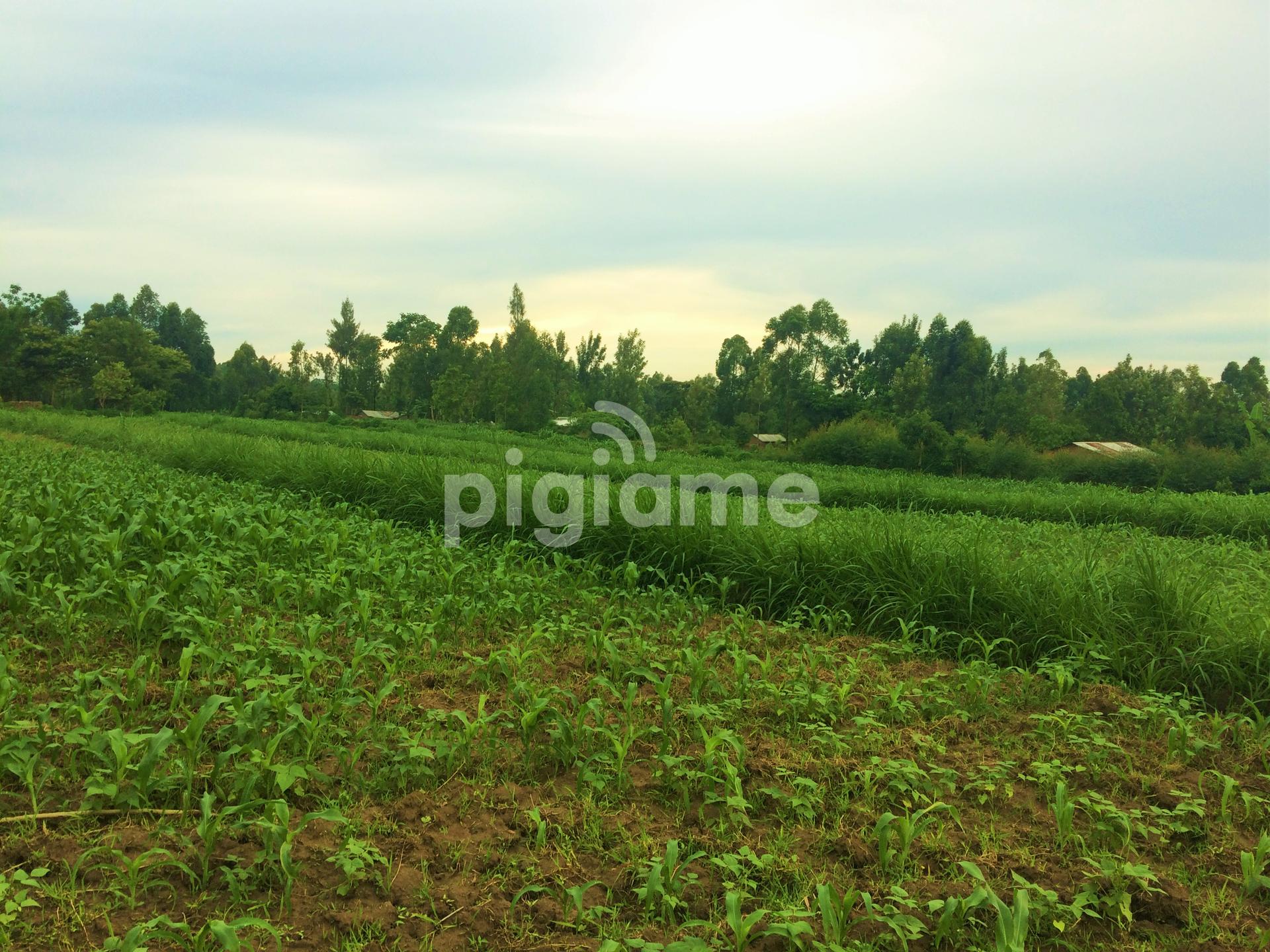 Quarter An Acre For Sale At Luucho Bungoma in Bungoma PigiaMe