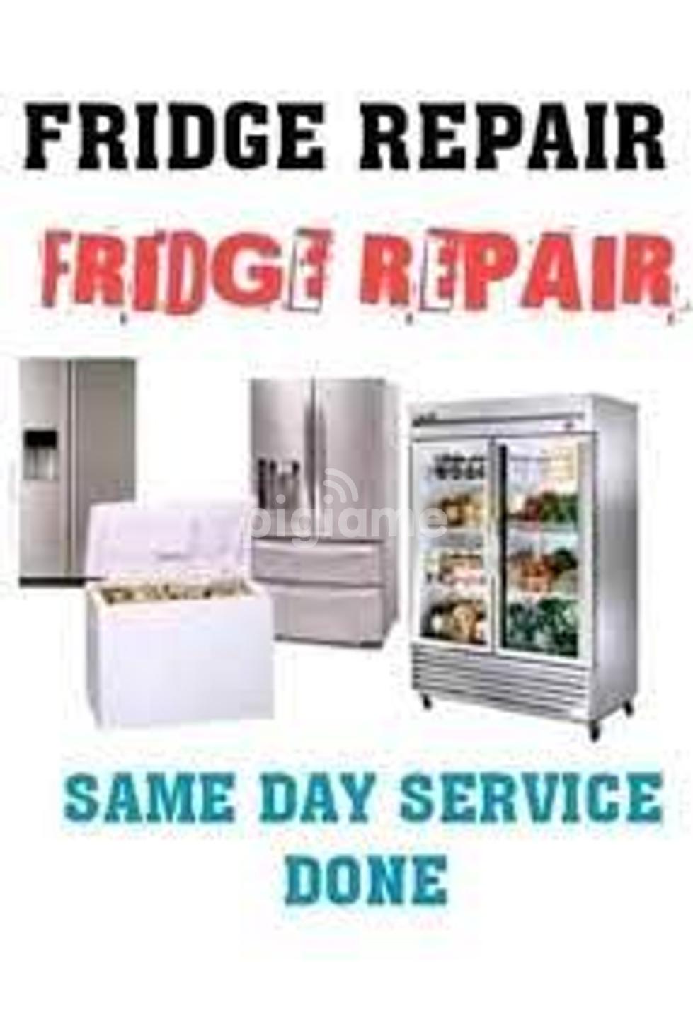 Domestic freezer store repairs near me