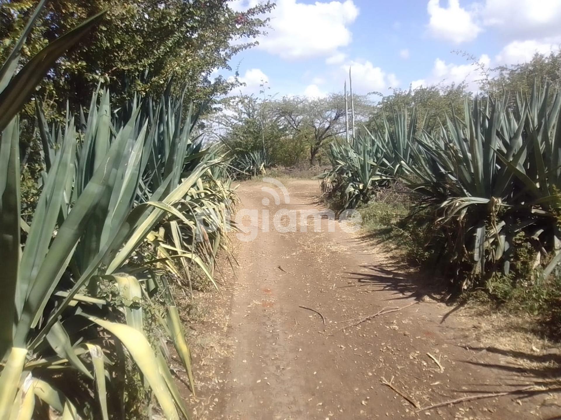 3 Acres Available For Sale In Masinga Dam Ekalakala in Machakos PigiaMe