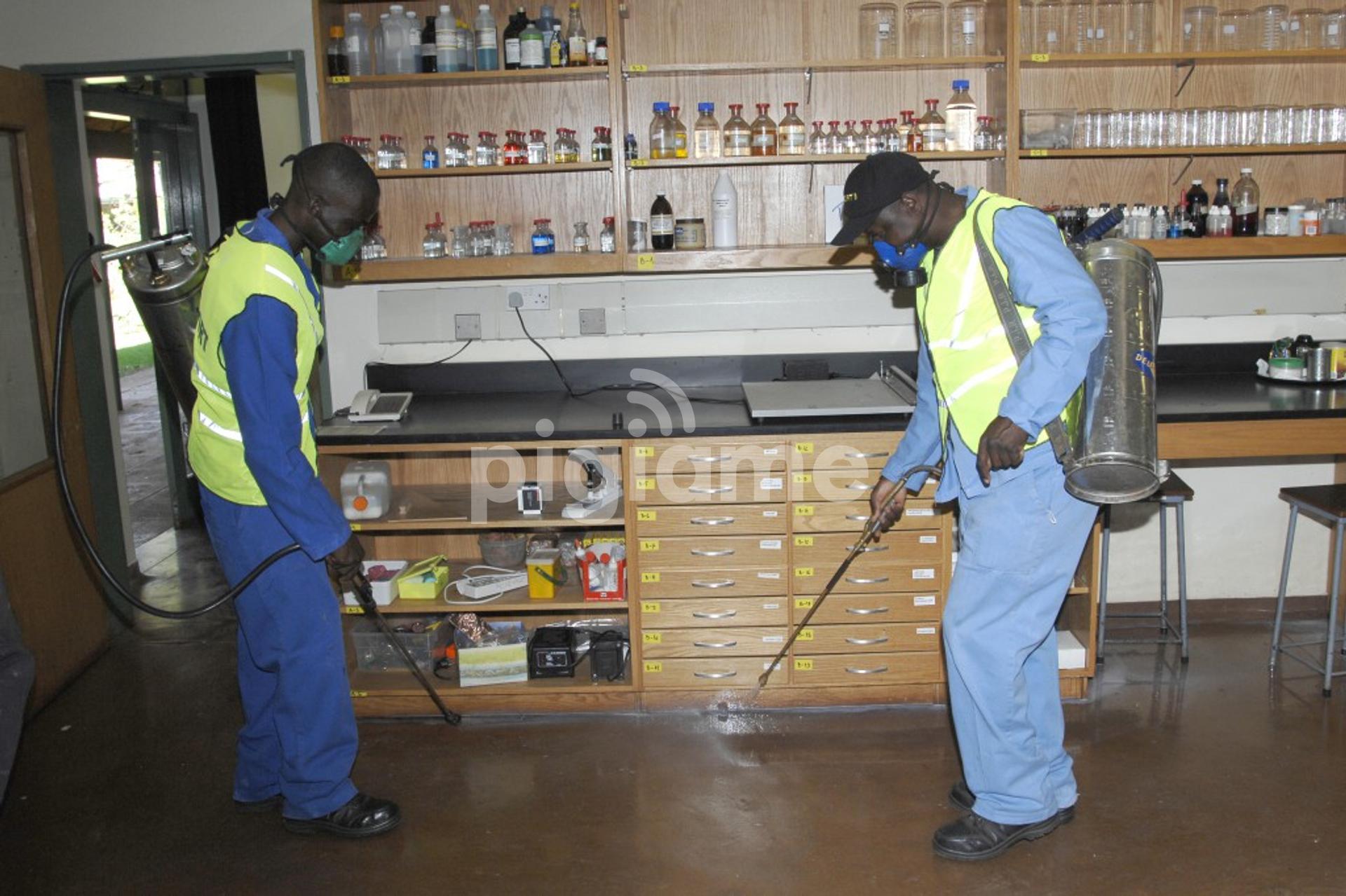 Need Affordable & Reliable Pest Control Services,Bed Bug Control