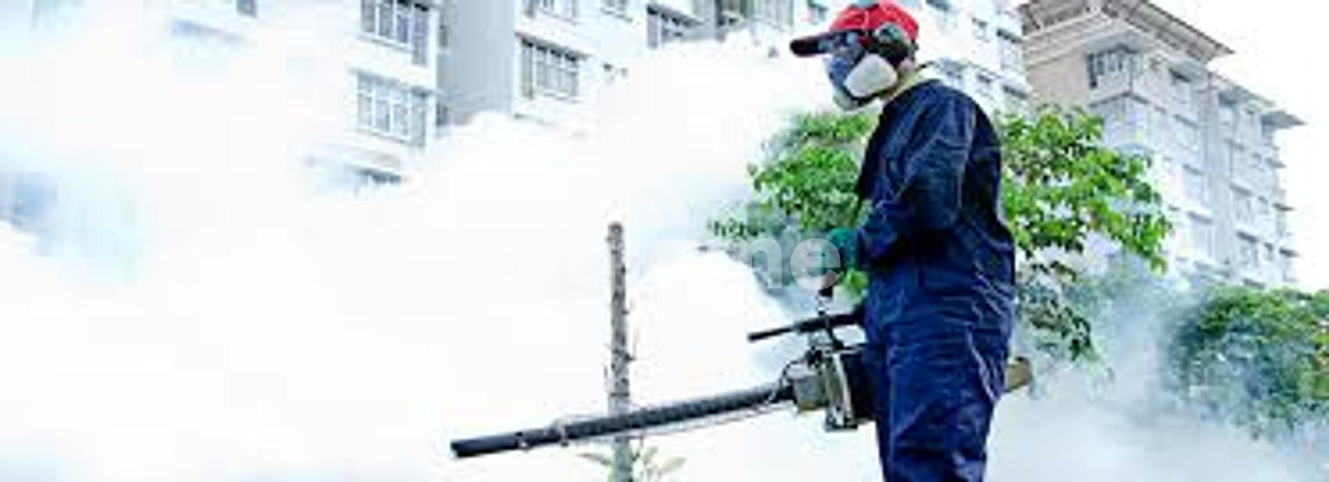 bed bug fumigation