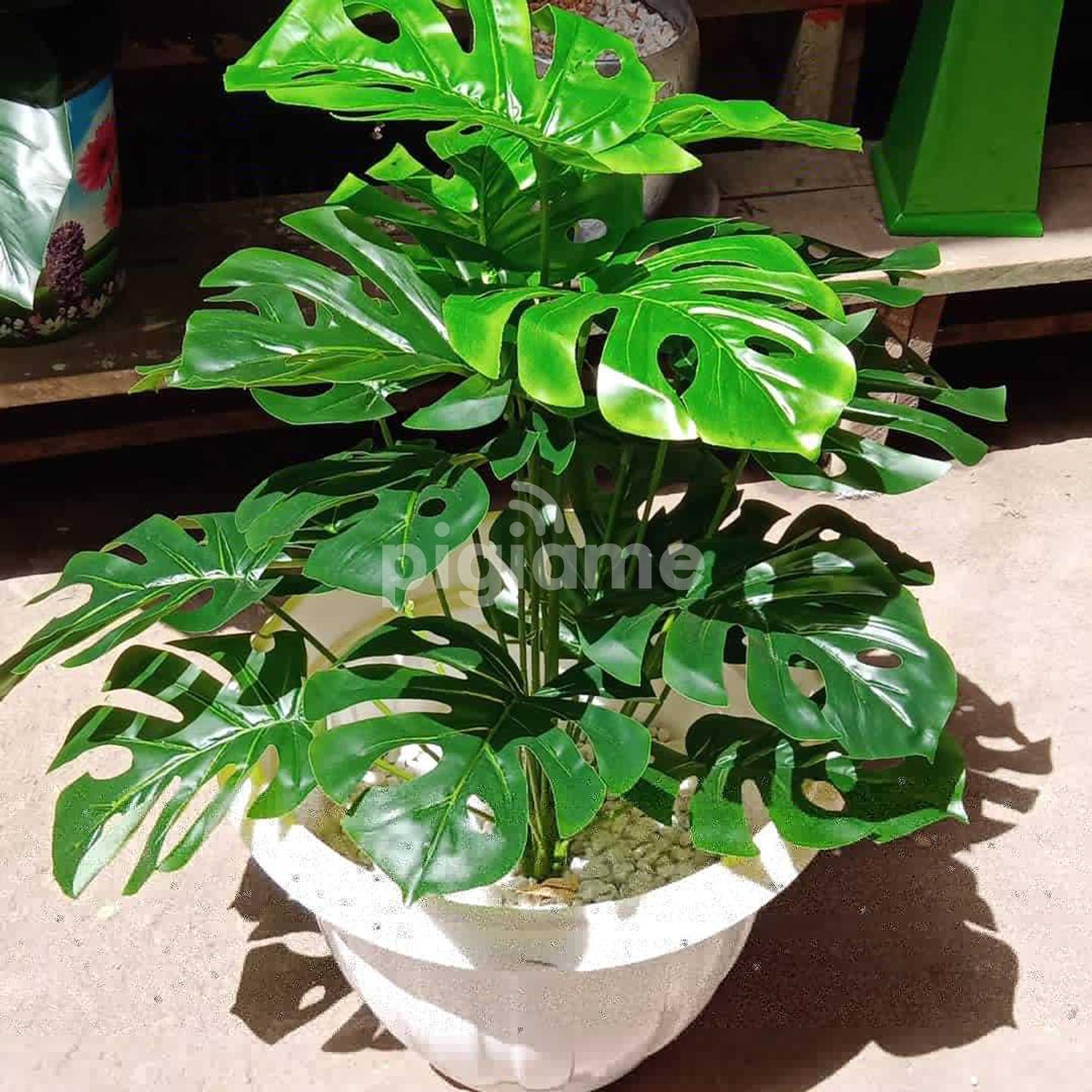 Artificial Plant For Home And Office Decor in Nairobi CBD PigiaMe