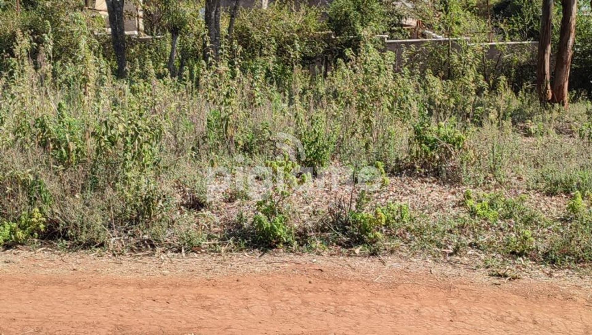 1/8 Acre Plots In Kabete, Kikuyu Town in Nairobi PigiaMe