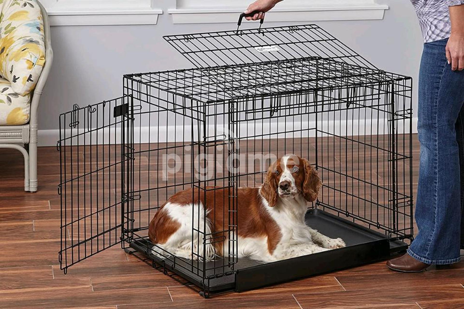 Chihuahua crate deals