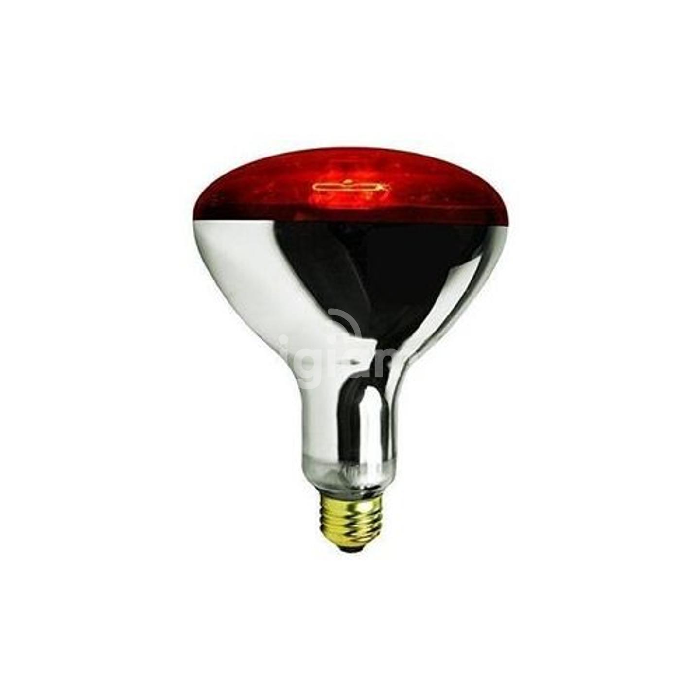 Infrared 250 outlet watt heat lamp