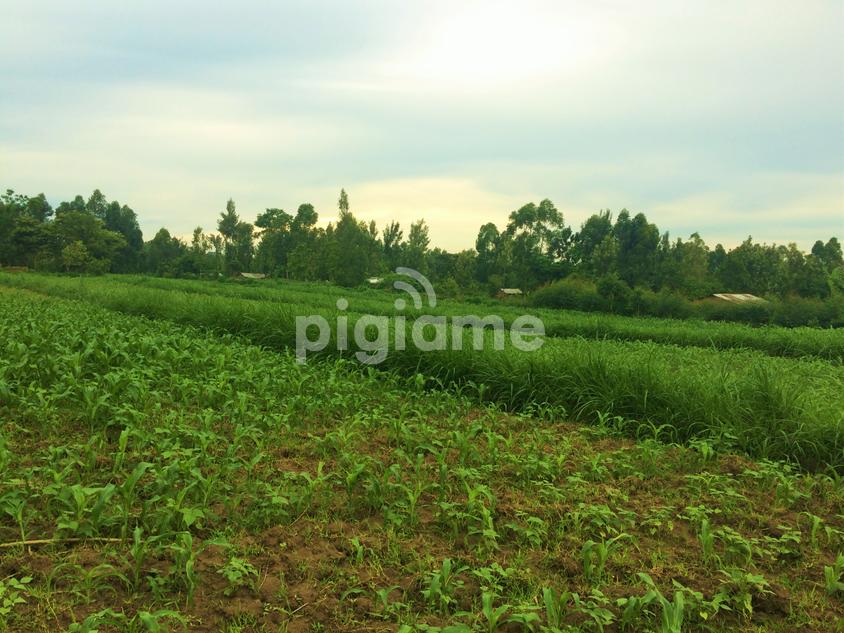 Quarter An Acre For Sale At Luucho Bungoma in Bungoma PigiaMe