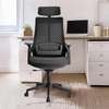 Office Chair: High Back Orthopedic Chair For Office Comfort thumb 0
