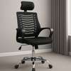 Adjustable High Back Ergonomic Office Chair thumb 0