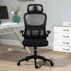 Adjustable High Back Ergonomic Office Chair thumb 0