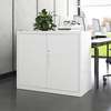 Office Cabinet: 2-Door Office Cabinet In Gesima thumb 6